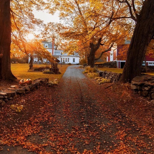 Fall leaf roads, take me home to the place I belong, Autumn in New England, apple cider, take me hom