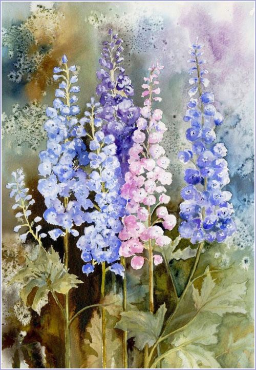 floralls:floral watercolors by   Yvonne Harry