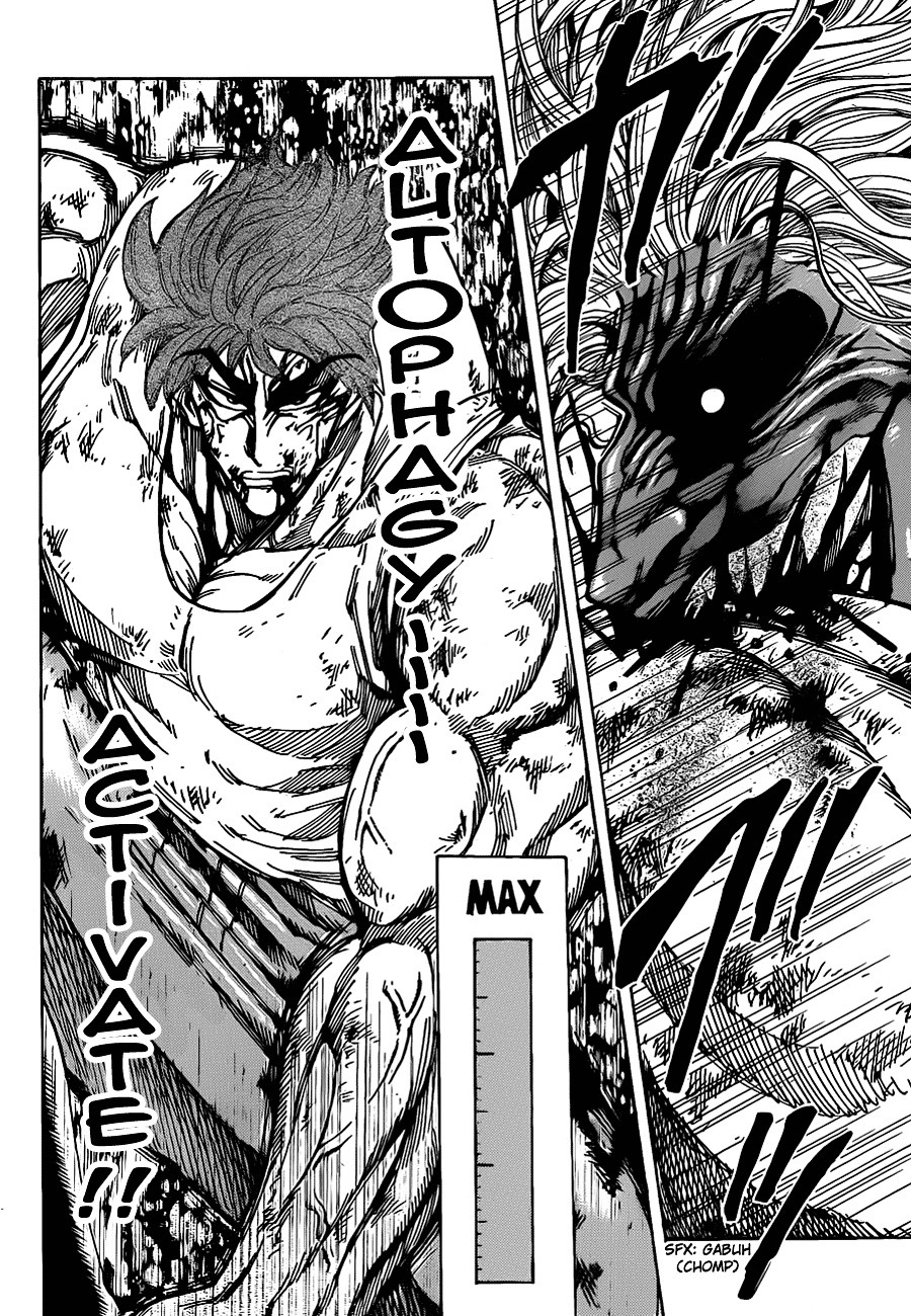 Zebra Toriko Explore Tumblr Posts And Blogs Tumgir