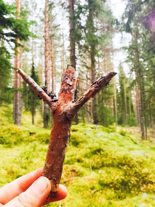 the-nordic-ways:  Madhr - the rune of humanity