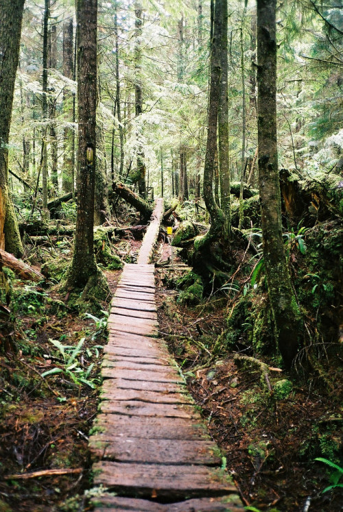 eyeleaves:  Ben D. Johnson, “Boardwalk” Port Renfrew, BC, Canada.