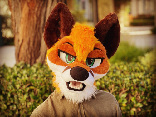I Finally Got A Suit! Say Hello To MAPLE!