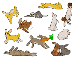 pepplemint:  rabbit stickers that was obviously more for my own amusement than anything else