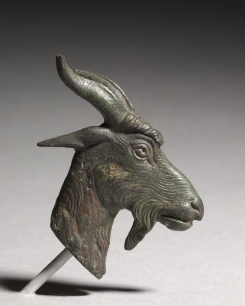 Head of a Goat, 300, Cleveland Museum of Art: Greek and Roman ArtSize: Overall: 6.1 cm (2 3/8 in.)Me