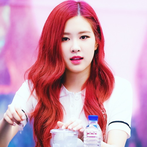 Red Rosé icon ♡ If you save like or reblog please