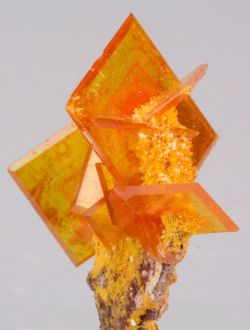 ggeology:  Wulfenite crystal