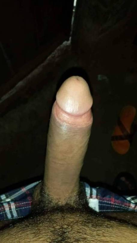 alfredoquiereleche:  Chacal de  barrio  vergudo 