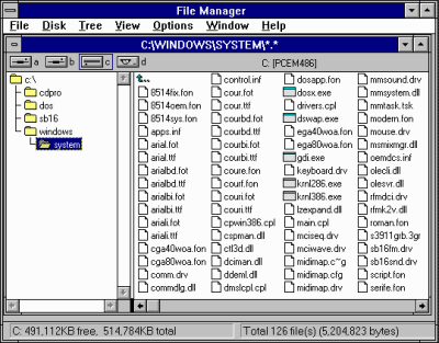 Windows 3.1 - File Manager