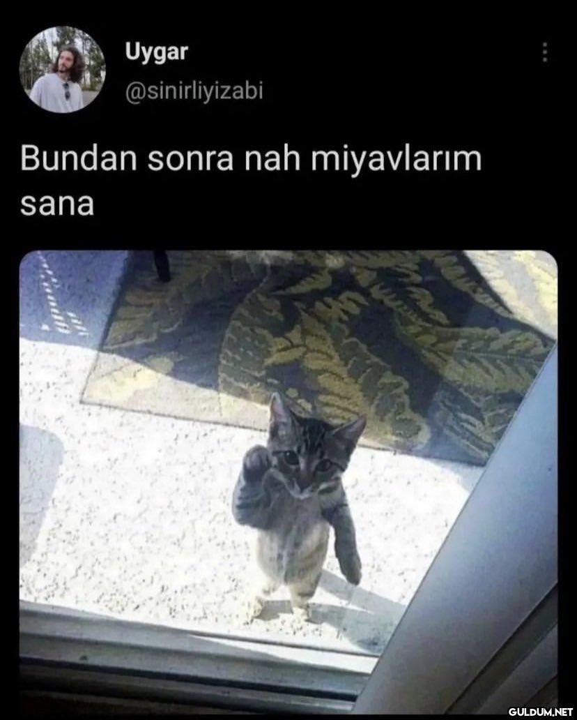 Uygar @sinirliyizabi...