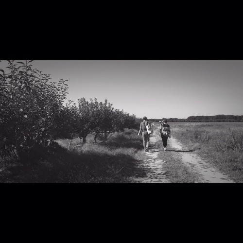 Meridel (& Tyler) looking at an orchard in Long Island