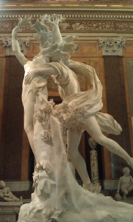 ablative-absolute:  “Apollo and Daphne” by Bernini at the Galleria Borghese From one side, Daphne looks more human than three; the other, more tree than human. 