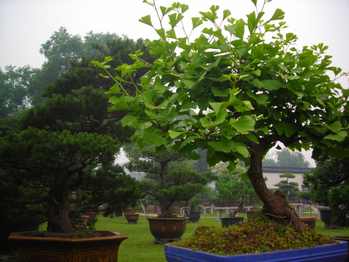 2007 - China - Jiangsu ProvinceThis is what public parks look like in China. It&rsquo;s&hellip; mind