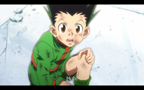 The other’s are shocked, or showing signs of resignation.But Killua is smiling. Gon did a good job. 