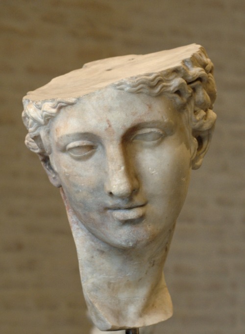Head of a statue of Aphrodite.  Roman copy after a Greek original of the 3rd cent. BCE.  Now in the 