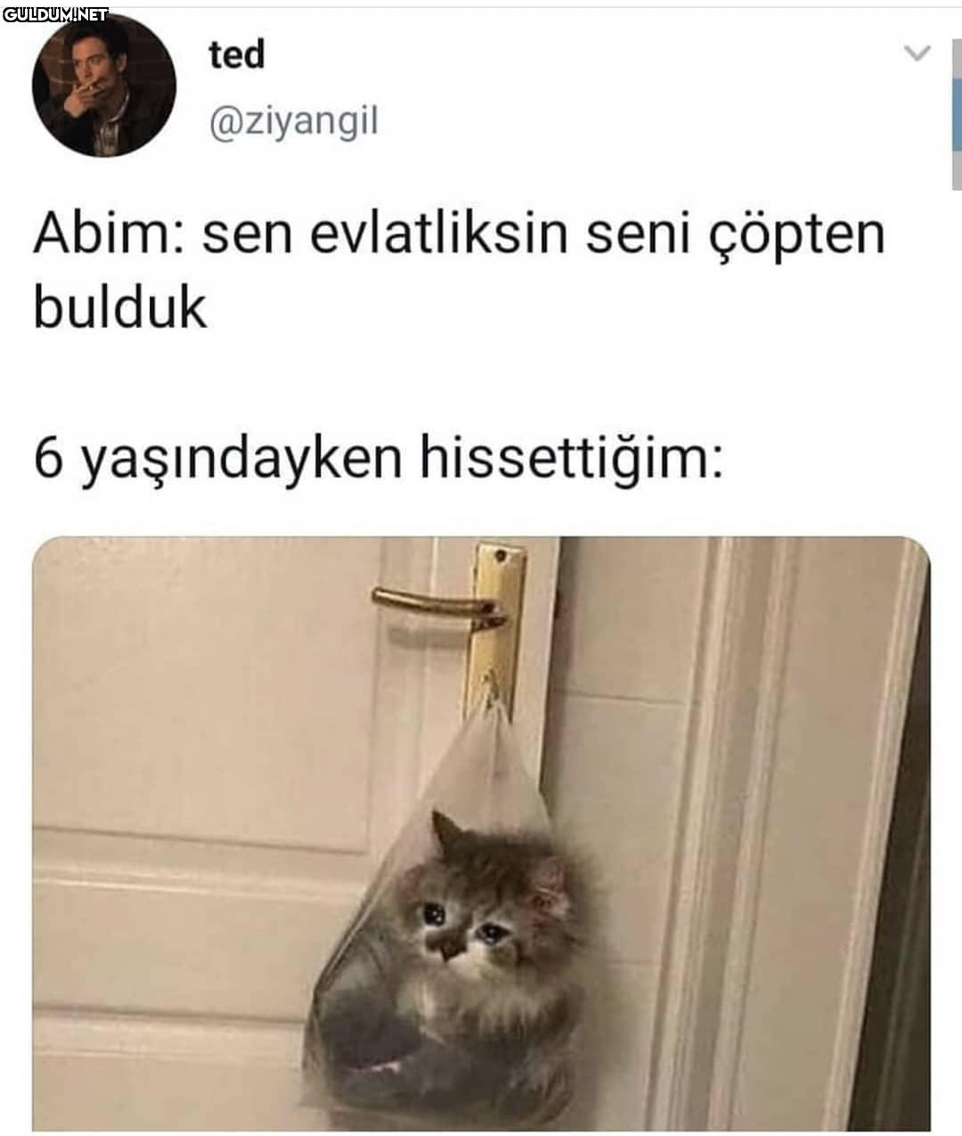 ted @ziyangil Abim: sen...