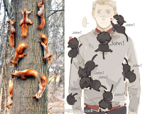 sevnilock: JOHNJOhnjohnjohnjohnjoh…. Catlock！ …..Have you considered tree‘s