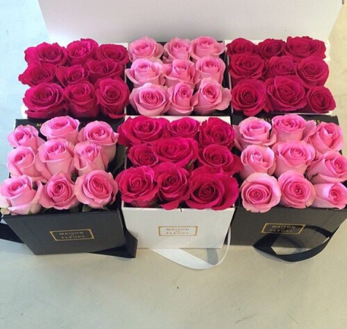 prettylittlefashionxo:✿ Cute girly/rosy blog! Follow for more great posts ✿