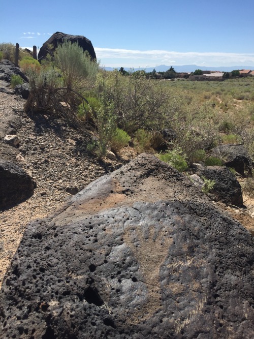 wtfarthistory: Petroglyph National Monument, Albuquerque, New Mexico