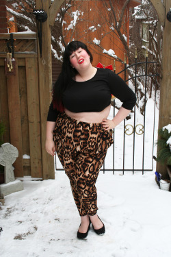 fuckyeahchubbyfashion:  Rachel Anne , Canada, size 22 Crop top and leopard harem pants both from Forever21+ http://mycurvyvalentine.tumblr.com/