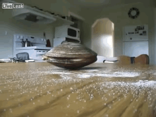 sixpenceee:  A recent viral video claims a live claim is licking salt off the table.