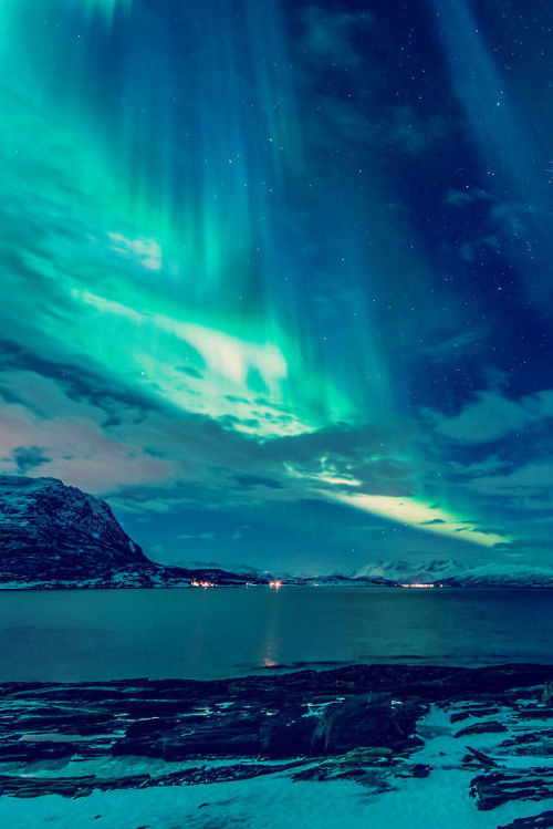 dioxigeno:  Space Curtains, Tor-Ivar Næss