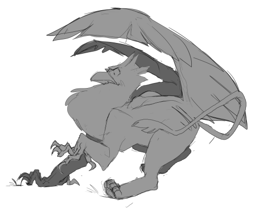 Hey Guys Look At All These Gryphs I Drew