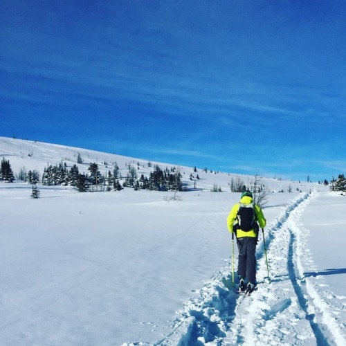 Welcoming in 2018 the right way #skiing #backcountryskiing #friendsonapowday