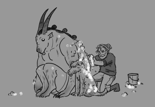 Clean The Dogs