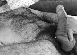 HAIRY MAKES ME HARD