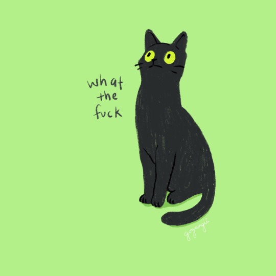 Black Cat Illustration Tumblr