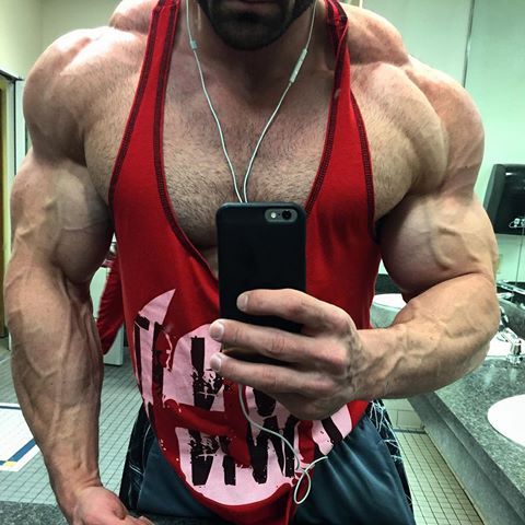 Men & Muscles