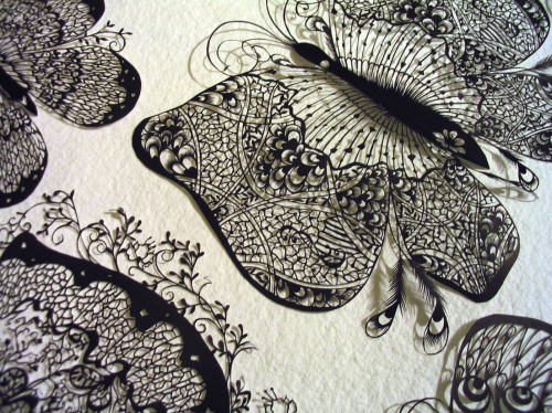 Aoyama NinaButterflies - Paper Cutting Design 切り絵 - 2007