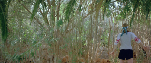 hirxeth:Dogtooth (2009) dir. Yorgos Lanthimos