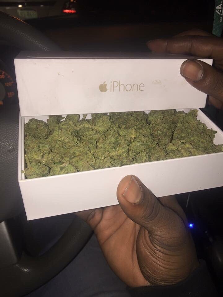 Insane