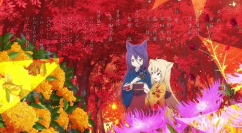 konohana kitan