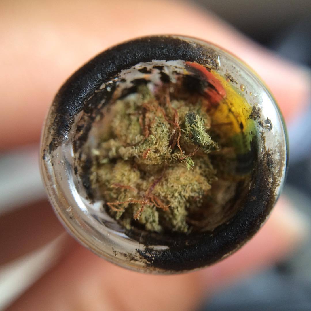 Wanna fly away? 💨💨 #letsgethigh #chongforChase #dutchtreat #hooooubrah #youknowhatimeitis