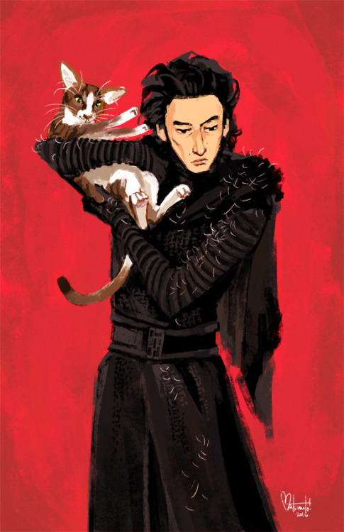 space-coyote:Kylo Ren discovers the pains of wearing all black while holding a cat.
