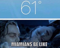 the786:  impalimp1996:  the786:  flacomexicano:  the786:  And?  ME  Me too breh   Wouldn’t everyone overheat to the max? 40 degrees and schools are closed?  *50  okay this is me as hell in south texas 😓