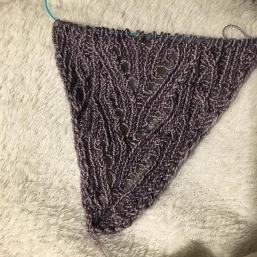I have not had much knitting time this week but I have managed to start and make prepress on this be