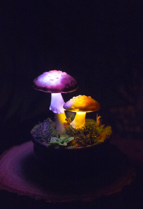 katyasneg:RGB glowing mushroom lamp - https://www.etsy.com/shop/TheSnowmade