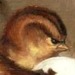 despazito:antiqueanimals:Sein oder nicht sein (To be, or not to be), Gustav Süs (1823-1881)via