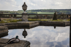 theladyintweed: Harewood House, Terrace View,