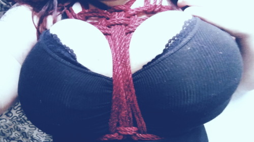sirfubbel: Tiger and I had a little fun today.@booze-n-boobs Weiterlesen  beautiful rope by @sirfubb