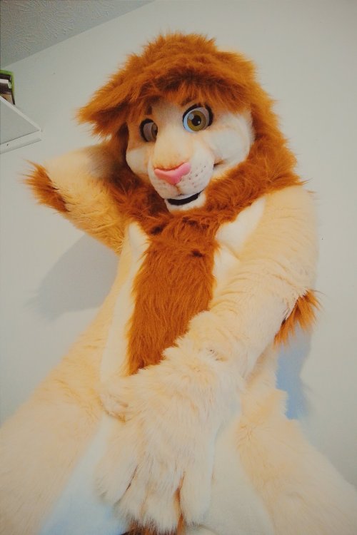 fursuitpursuits:RT @LeoLightmane: Just some lion things. I really need to not get bored in fursuit. 
