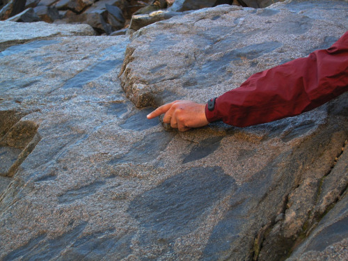 The very bottom of the Grand CanyonThis rock sits in a very cool place; this is the single oldest ro