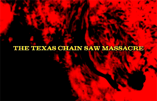 The Texas Chain Saw Massacre (1974) Dir. Tobe Hooper