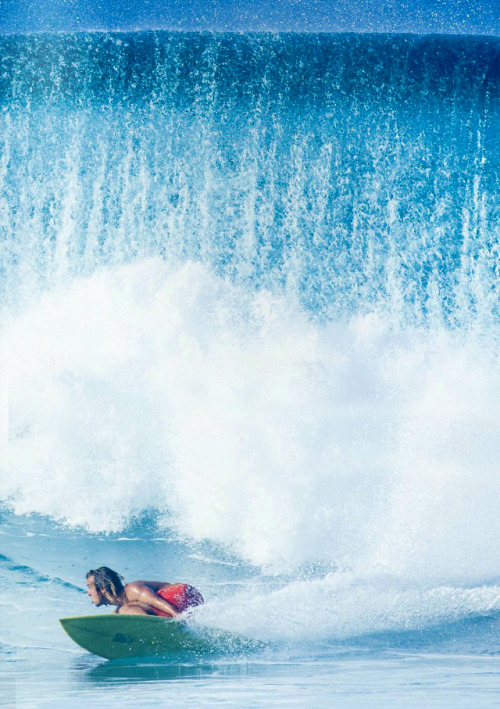 highenoughtoseethesea:  Alex Knost, Rocky Rights