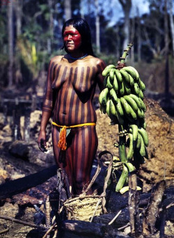 the-seraphic-book-of-eloy:  Kayapo Woman,