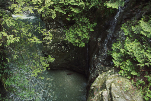 matchbox-mouse: Water running down the rocks. On a hike in Lynn Canyon, British Columbia.