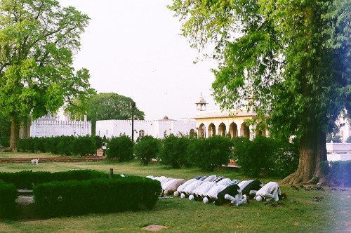 red fort